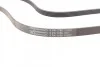 Ремень поликлиновый Renault Logan 1,4i 1,6i 04>09 ContiTech Contitech 5PK1750 (фото 3)
