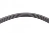 Ремень поликлиновый Renault Logan 1,4i 1,6i 04>09 ContiTech Contitech 5PK1750 (фото 4)