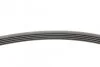 Ремень поликлиновый Hyundai Accent 1,5d 08> ContiTech Contitech 5PK1815 (фото 2)