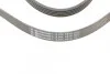 Ремень поликлиновый Hyundai Accent 1,5d 08> ContiTech Contitech 5PK1815 (фото 4)