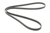 Ремень поликлиновый Hyundai Accent 1,5d 08> ContiTech Contitech 5PK1815 (фото 5)