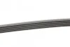 Ремень поликлиновый BMW 7E38 730d 98>01, X5E53 3,0D ContiTech Contitech 5PK2060 (фото 2)