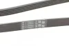 Ремень поликлиновый BMW 7E38 730d 98>01, X5E53 3,0D ContiTech Contitech 5PK2060 (фото 3)
