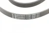 Ремень поликлиновый BMW 7E38 730d 98>01, X5E53 3,0D ContiTech Contitech 5PK2060 (фото 4)