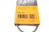 Ремень поликлиновый VW Golf V/Passat/Touran 1.4TSI 05 Contitech 5PK491 (фото 6)