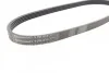 Ремень поликлиновый BMW X5E53 3,0d ContiTech Contitech 5PK813 (фото 2)