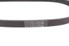 Ремень поликлиновый Suzuki SX4 1,6i 06> ContiTech Contitech 5PK836 (фото 3)