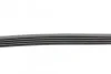 Ремень поликлиновый BMW 5E39 520i 523i 98>02 ContiTech Contitech 5PK865 (фото 2)
