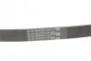 Ремень поликлиновый BMW 5E39 520i 523i 98>02 ContiTech Contitech 5PK865 (фото 3)