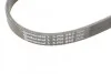 Ремень поликлиновый BMW 5E39 520i 523i 98>02 ContiTech Contitech 5PK865 (фото 4)