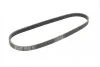 Ремень поликлиновый BMW 5E39 520i 523i 98>02 ContiTech Contitech 5PK865 (фото 5)