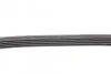 Ремень поликлиновый Ford Focus 1,6i 1,6ti 05> ContiTech Contitech 5PK868 ELAST (фото 2)