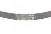 Ремень поликлиновый Ford Focus 1,6i 1,6ti 05> ContiTech Contitech 5PK868 ELAST (фото 3)