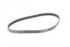 Ремень поликлиновый Ford Focus 1,6i 1,6ti 05> ContiTech Contitech 5PK868 ELAST (фото 5)