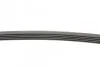 Ремень поликлиновый Daewoo Lanos 1,5i ContiTech Contitech 5PK875 (фото 2)