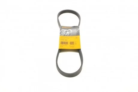 Ремінь генератора поліклиновий CONTINENTAL Contitech 5PK875