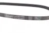 Ремень поликлиновый Subaru Forester 2,0i 2,5i 02>08, 2,5i 09>, Legasy 2,5i 03>05 ContiTech Contitech 5PK880 (фото 2)