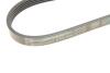 Ремень генератора поликлиновый CONTINENTAL Contitech 5PK934 (фото 4)