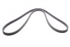 Ремень генератора поликлиновый CONTINENTAL Contitech 6DPK1841 (фото 3)