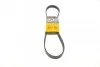Ремень поликлиновый Ford Fiesta 1,25-1,4i 02>08, 08> ContiTech Contitech 6PK1019 ELAST (фото 1)