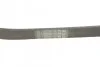 Ремень поликлиновый Ford Fiesta 1,25-1,4i 02>08, 08> ContiTech Contitech 6PK1019 ELAST (фото 3)