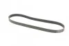 Ремень поликлиновый Ford Fiesta 1,25-1,4i 02>08, 08> ContiTech Contitech 6PK1019 ELAST (фото 5)