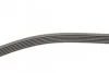 Ремень поликлиновый Audi Q5 2,0TDI 16>, Skoda Octavia 12>, VW Golf VII 12> ContiTech Contitech 6PK1026 (фото 2)