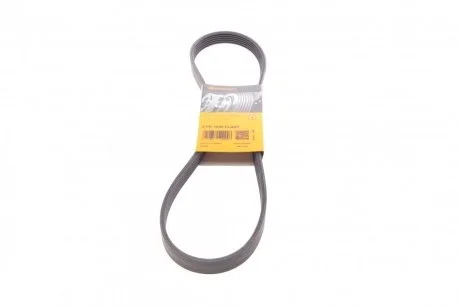 Ремень поликлиновый Ford Fiesta 1,25i 1,6ti 08>, Mondeo 1,6Ti 07>14 ContiTech Contitech 6PK1029 ELAST