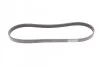 Ремень поликлиновый Ford Fiesta 1,25i 1,6ti 08>, Mondeo 1,6Ti 07>14 ContiTech Contitech 6PK1029 ELAST (фото 5)