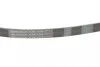 Ремень поликлиновый Lexus RX300 03>08 ContiTech Contitech 6PK1038 (фото 3)