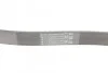 Ремень Contitech 6PK1042ELAST (фото 3)