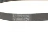 Ремень поликлиновый Skoda Octavia II 1,6i, VW Passat 2,0i 05>10 ContiTech Contitech 6PK1045 (фото 3)