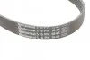 Ремень поликлиновый Skoda Octavia II 1,6i, VW Passat 2,0i 05>10 ContiTech Contitech 6PK1045 (фото 4)