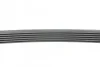 Ремень поликлиновый VAG 1,9d 2,0d 05> ContiTech Contitech 6PK1050 (фото 2)