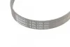 Ремень поликлиновый VAG 1,9d 2,0d 05> ContiTech Contitech 6PK1050 (фото 4)