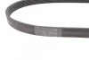Ремень поликлиновый Ford Focus 1,6i 1,6ti 05> ContiTech Contitech 6PK1059 ELAST (фото 2)