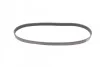 Ремень поликлиновый Ford Focus 1,6i 1,6ti 05> ContiTech Contitech 6PK1059 ELAST (фото 5)