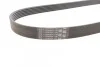 Ремень поликлиновый VW Passat 2,0d 05>10, 1,6TDI 2,0TDI 10>14 ContiTech Contitech 6PK1070 (фото 2)
