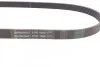 Ремень поликлиновый VW Polo 1,4 16V 02>09 ContiTech Contitech 6PK1080 (фото 2)