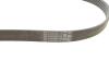 Multi V-Belt Contitech 6PK1080EXTRA (фото 2)