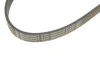 Поликлиновый ремень Contitech 6PK1090 ELAST (фото 4)