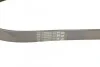 Ремень поликлиновый Honda Accord 2,0i 2,3i 00>03, Nissan Primera P12 1,6 1,8 ContiTech Contitech 6PK1100 (фото 2)