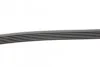 Ремень поликлиновый Skoda Octavia Superb, VW Passat 1,8 TSI 08> ContiTech Contitech 6PK1110 (фото 2)