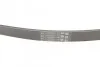 Ремень поликлиновый VW Passat 1,8TSI 2,0FSI 05> ContiTech Contitech 6PK1125 (фото 3)