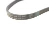 Ремень поликлиновый(приводной) Conti Contitech 6PK1190 (фото 2)
