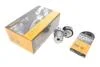 Натяжитель ремня (комплект) Contitech 6PK1200K3 (фото 1)