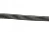 Ремень поликлиновый Mitsubishi Outlander 3,0i 07>12 ContiTech Contitech 6PK1205 (фото 2)