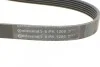 Ремень поликлиновый Mitsubishi Outlander 3,0i 07>12 ContiTech Contitech 6PK1205 (фото 4)