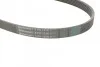 Ремень поликлиновый Nissan Qashqai 2,0i 07> ContiTech Contitech 6PK1210 (фото 3)
