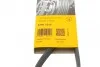 Ремень поликлиновый Nissan Qashqai 2,0i 07> ContiTech Contitech 6PK1210 (фото 5)